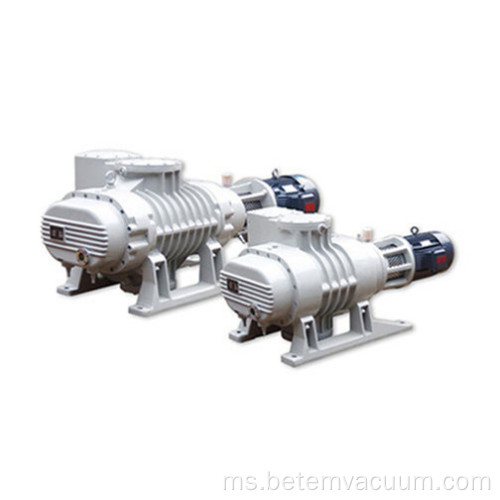 Roots Vacuum Pump Booster Vacuum Pump